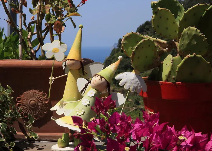 아피타카메레 르 테라제