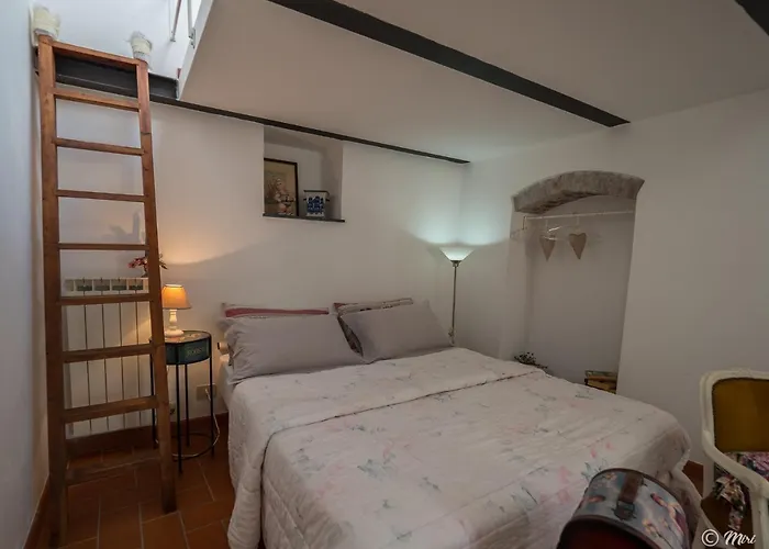 아피타카메레 르 테라제